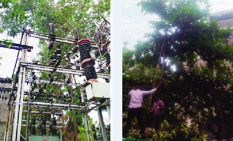 मंत्री की मेहरबानी से भ्रष्ट अधिकारी मलाईदार पदों पर वापस पदस्थ